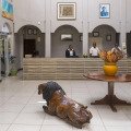 Image 29