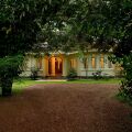 Coconut Grove