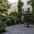 Image 15