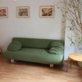 Image 12