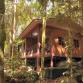 Permai Rainforest Resort