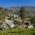 Langdale By Amaya Boutique Resort