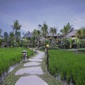 The Sankara Resort