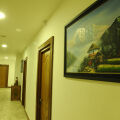 Image 13