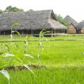 Aliya Resort And Spa