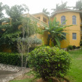 Image 13