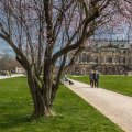 Image 35