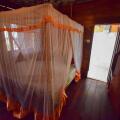 Little Pumpkin Cabanas