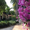 Diamond Bay Resort & Spa Nha Trang