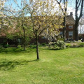 Image 16