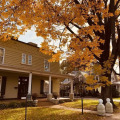 Image 13