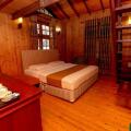 Alpine Hotel