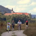 Image 13