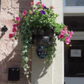 Image 29