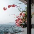 Lemore Hotel Nha Trang