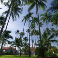 Muine Century Beach Resort & Spa