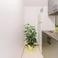Image 13