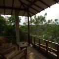 Coconut Island