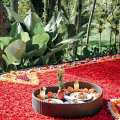 Bucu View Resort