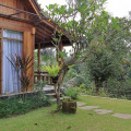 Bucu View Resort