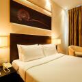 Renuka City Hotel