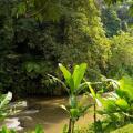 Mandapa, A Ritz-Carlton Reserve