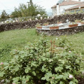Image 25