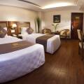 Aristo Saigon Hotel