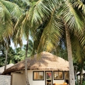 Angsana Velavaru