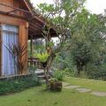 Bucu View Resort