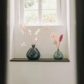 Image 14