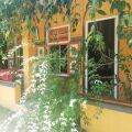 Tea Garden Holiday Inn