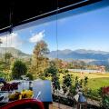Madulkelle Tea And Eco Lodge