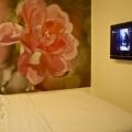 V Garden Hotel
