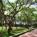 Le Aqua Resort & Spa Phan Thiet (Ex.Swiss Village Resort & Spa)