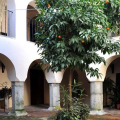 Image 19