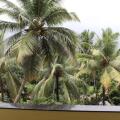 Fortune Resort Benaulim, Goa