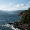 Image 13