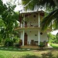 Coconut Island