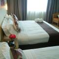 Tang Dynasty Park Hotel