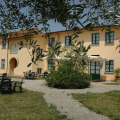 Image 25