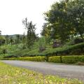 Brockenhurst Bungalow