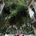 Image 38
