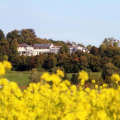 Image 15