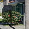 Image 16