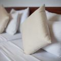 Oak Ray Regency Hotel
