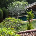 Villa White Queen