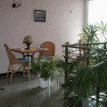 Image 13