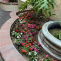 Image 16