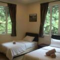 Arundina Cameron Highlands